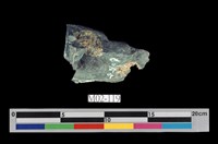 藏品(鎂橄欖石)的圖片